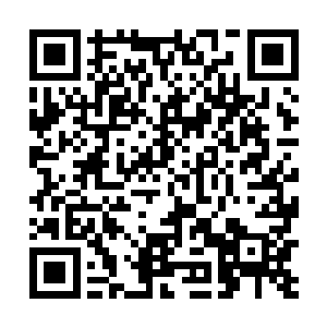 然而拿两百颗下品愿力珠做赌注的事情他们也做不了主二维码生成