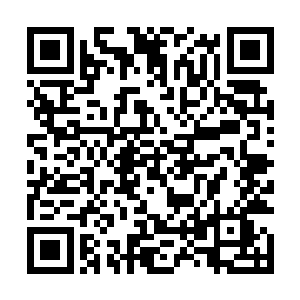 然而整个大唐世子研发大楼的地下实验室男女比例只有8二维码生成