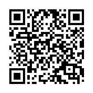 然而无论是罗双飞的黑罗刹还是紫貂二维码生成