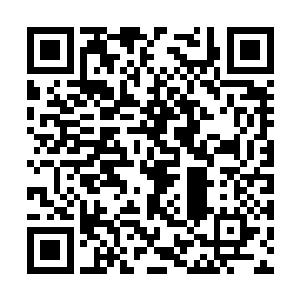然而晏锦只是看着地上燃烧的灯笼慢慢地化为灰烬二维码生成