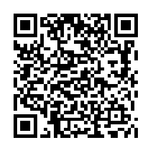 然而暗日魔术师却依然全神贯注于手中的小石子二维码生成