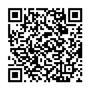 然而最终当秦宇一爪将老者的一条手臂给卸下来之后二维码生成