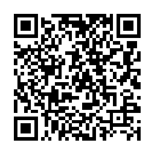 然而林辰此刻却是对于这一场战斗没有任何好奇之感二维码生成
