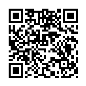 然而林辰的攻击却是能够起到一定的作用二维码生成