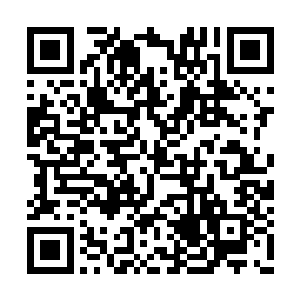 然而此刻被吞噬掉的石柱也不过才两百多跟而已二维码生成