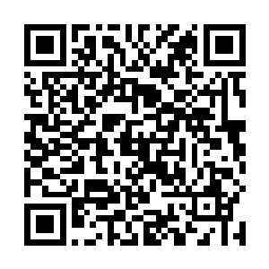 然而此刻那神秘强者心中的震惊和忌惮却是远胜于楚旬二维码生成