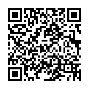 然而派出去的人回到凌霄宫时却没带回来一兵一卒二维码生成