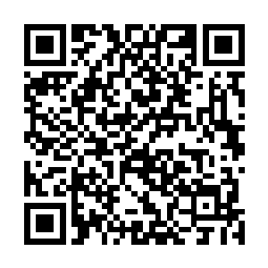 然而看着已经成了一个一眼就能看到底的普通地洞的入口二维码生成