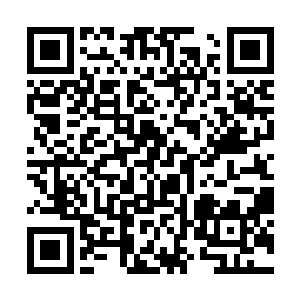 然而眼前这位少年却美的让人找不到任何语言去描述二维码生成