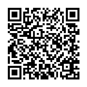 然而穿着性感的年轻女子却是有些茫然的摇了摇头道二维码生成