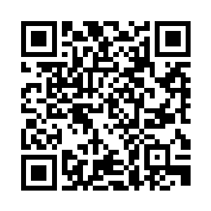 然而精灵们并不熟悉索洛米风格的裙子二维码生成