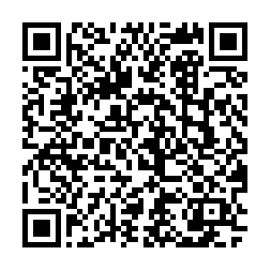 然而红甲的希望被流墨墨实际上被收为女奴打击到心情不好的带她去灰雾山谷二维码生成