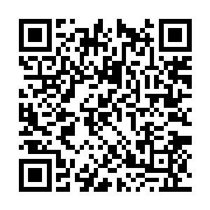 然而红袍童子却吃惊的现自己的身体竟无法动弹了二维码生成