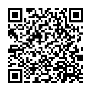 然而自从那帮愚昧的人把我当成瘟疫的源头活祭了什么神之后二维码生成