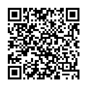 然而身后苏落又是无数的火球密密麻麻朝他周身笼罩而去二维码生成
