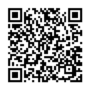 然而身旁老者居然如此轻描淡写的就将其阻止了下来二维码生成