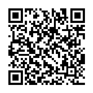 然而这一次通知季疏云可以拔营离开的人不是别人二维码生成