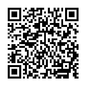 然而这个时候已经走到前面的小七却没有看到暖玉的眼神二维码生成