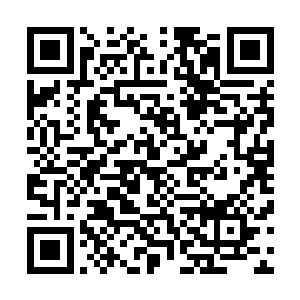 然而这个洛神宫的女子杀意比这一路来遇见的任何一个人强二维码生成