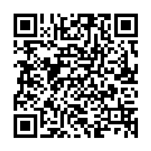 然而这些生物的信仰就和他们的天性一样狡猾多变二维码生成