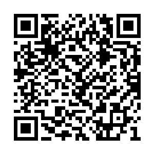 然而这些能量的源头自然是从存真之舟中抽取了二维码生成