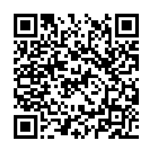 然而这海眼崩溃所导致的能量狂潮实在是太可怕了二维码生成