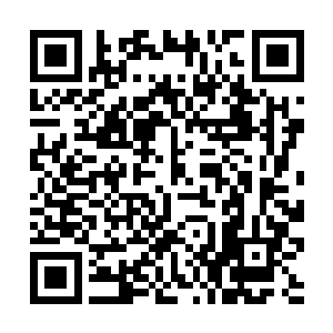 然而这自动修复的能力根本就不是魔法阵能够拥有的二维码生成