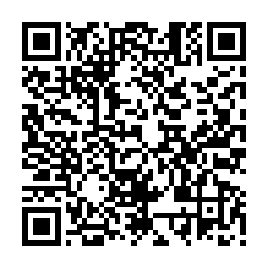 然而这防御惊人的混天绫此刻在这夸父的恐怖力量面前也变得无比脆弱起来二维码生成