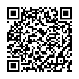 然而那些游荡在官道附近的魔化生物可不管这些二维码生成