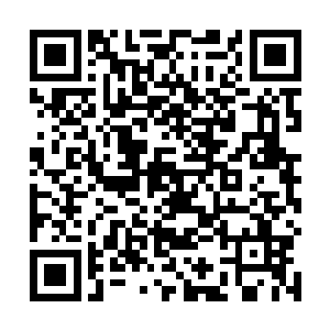 然而那拼死一搏的可怕杀伐攻击依旧朝着叶尊斩了下去二维码生成