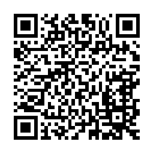 然而那极致的诅咒者也被血海中那股苍老腐朽的气息牢牢镇压着二维码生成