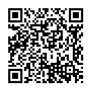 然而镇元子对于自己的那些徒弟显然是非常信任二维码生成