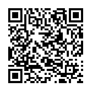 然而陈小练的剑却在这一瞬间凝聚出了同样大上了十倍的剑气二维码生成