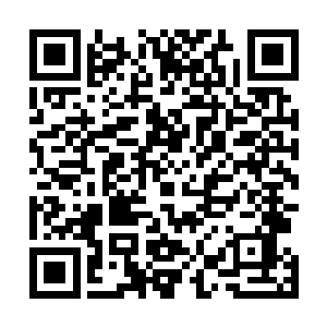 然而除了宗室老臣在宣读秦王致意的时候见过长公子之外二维码生成