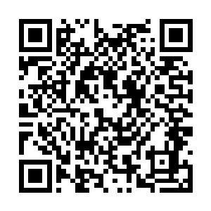 然而颤抖的睫毛暴露了她内心深处的彷徨或者不安二维码生成