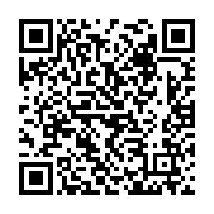 然苗毅却不敢把小命完全寄托在别人的心慈手软上二维码生成