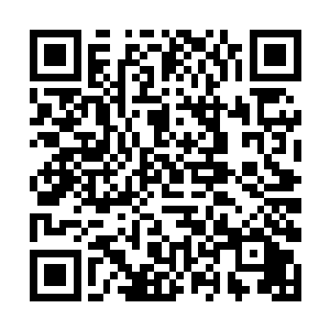 然那长在身侧的十六只锐利石钳就会撕碎中伏的猎物二维码生成