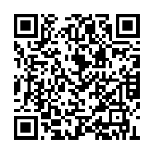 照他刚才那种目光的打量自己早把他碎尸万段了二维码生成