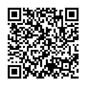 照你这么说我们是不可能买到这么多符神圣等级的符印了二维码生成