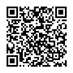 照样可以依靠持久战来消磨掉洪涛身上的每一分力量二维码生成