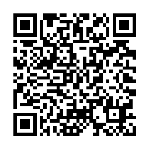 照理来说这种环境中是不可能有如此充足的灵气二维码生成