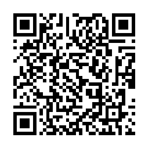 照理说像朱江娥这样的客人并不需要自己亲自去泡茶二维码生成