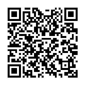 照这样的话龙傲天进入到巨塔之后在里面修炼200天二维码生成