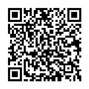 熊啸的刀法和苗毅的枪法根本不是一个档次上的二维码生成