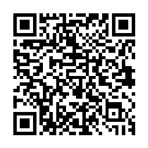 熊孩子也为在场众人指明了他们的变强之路和他们机缘所在之处二维码生成