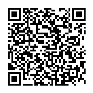 熊孩子他们已经是很久没有吃过类似圣女果这样的新鲜水果了……二维码生成