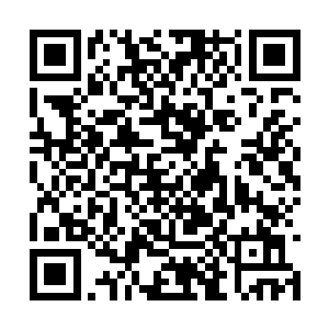 熊孩子们在摔了好多下之后终于能在冰面上滑动了二维码生成