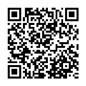 熊孩子和楚旬除了时间之力以外就无法再动用其他任何的力量了二维码生成