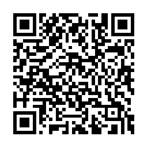 熊孩子甚至比见到赫拉勒克斯以一敌六更加震惊二维码生成