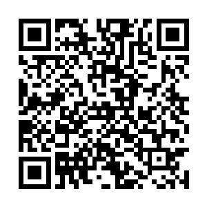 熊熊火焰竟然是一下子就把整个宫殿都给充斥满了二维码生成